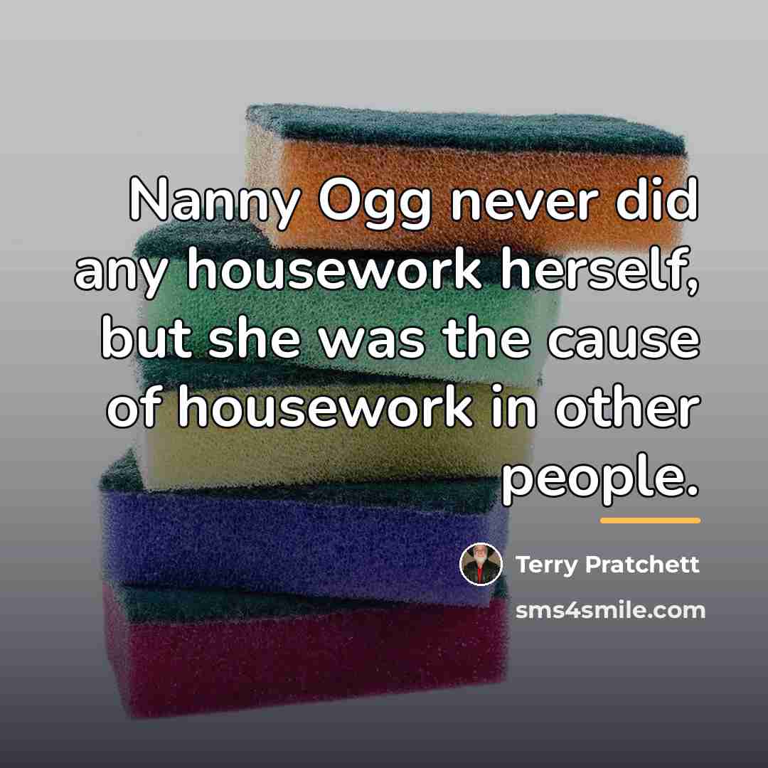 “Nanny Ogg never did any housework herself, but she was…” quote by Terry Pratchett