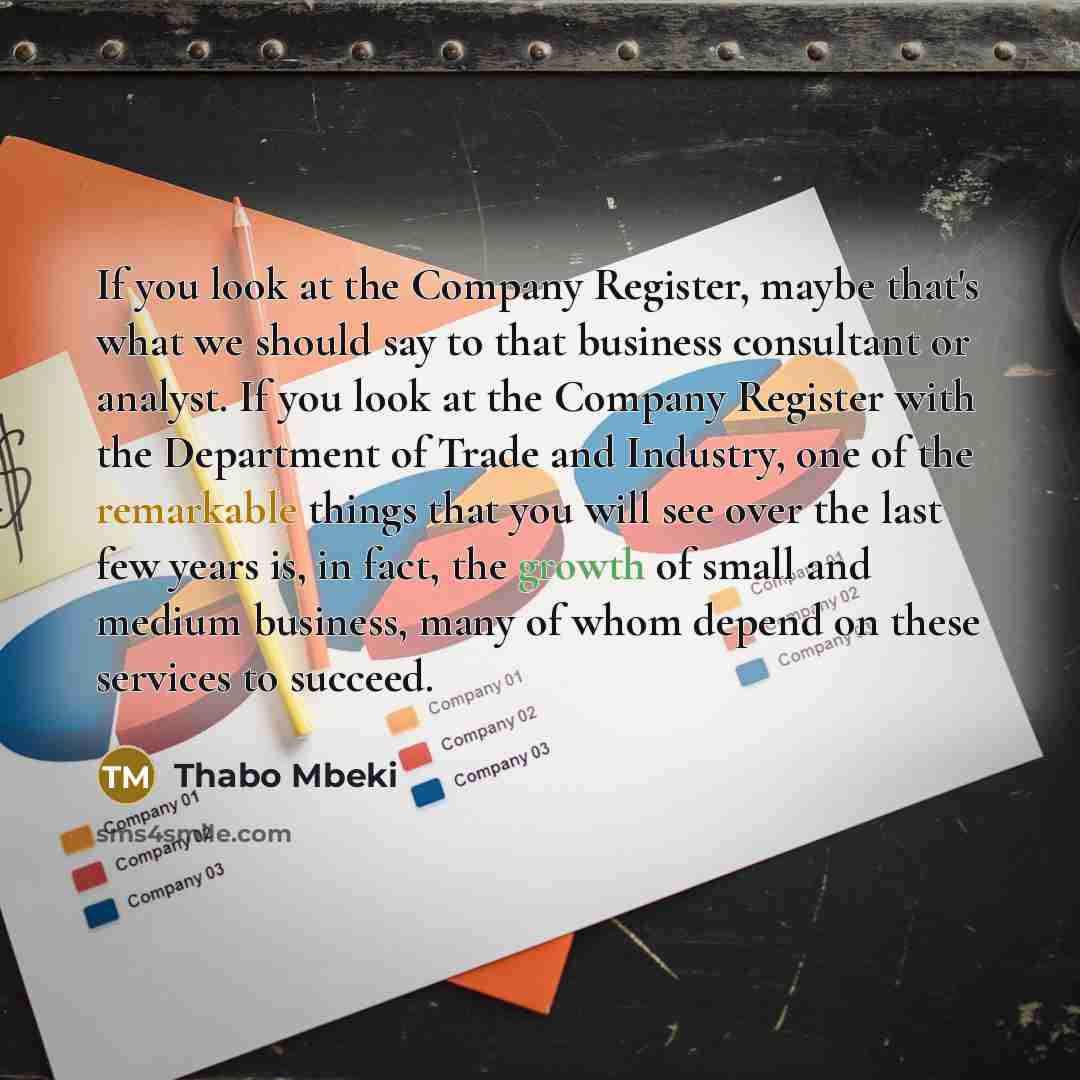 “If you look at the Company Register, maybe that's what…” quote by Thabo Mbeki