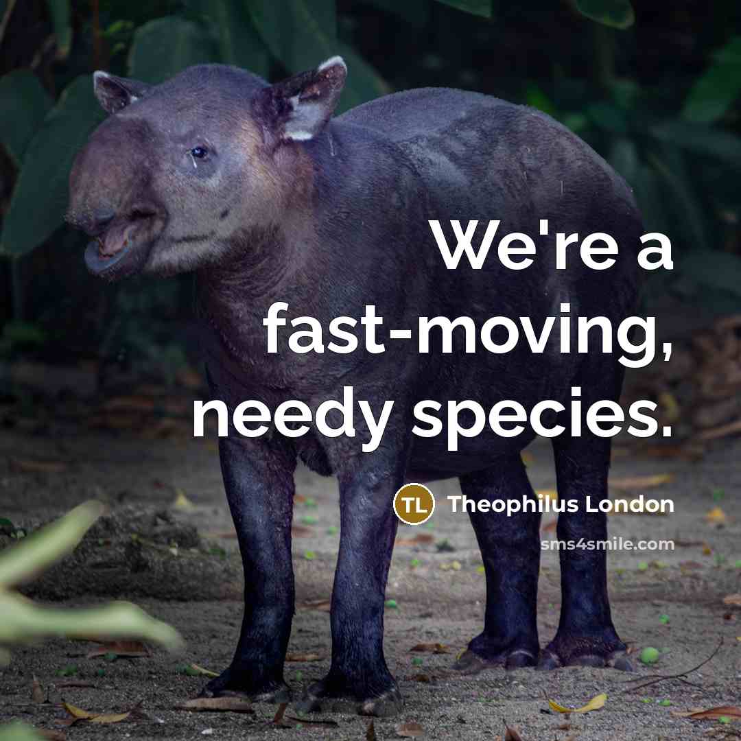 “We're a fast-moving, needy species.” quote by Theophilus London