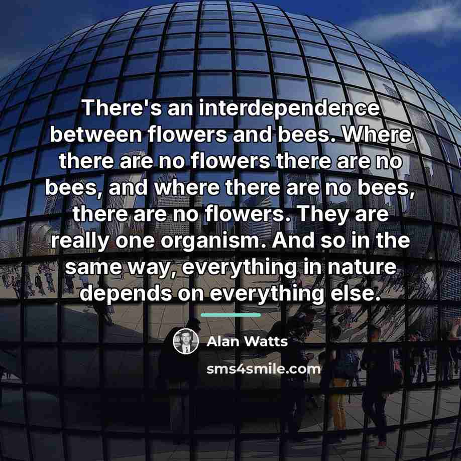 “There's an interdependence between flowers and bees. Where there are…” quote by Alan Watts