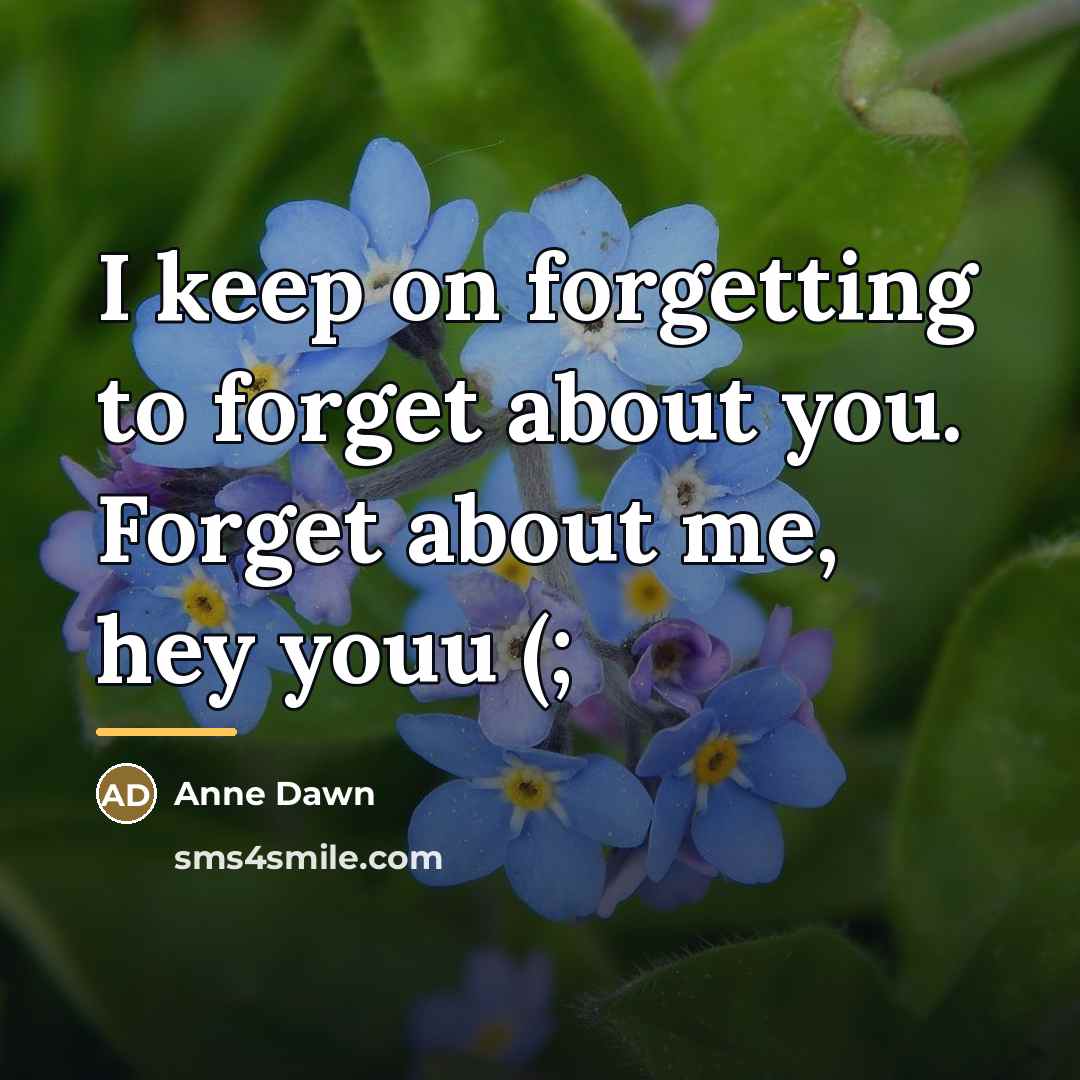 “I keep on forgetting to forget about you. Forget about…” quote by Anne Dawn