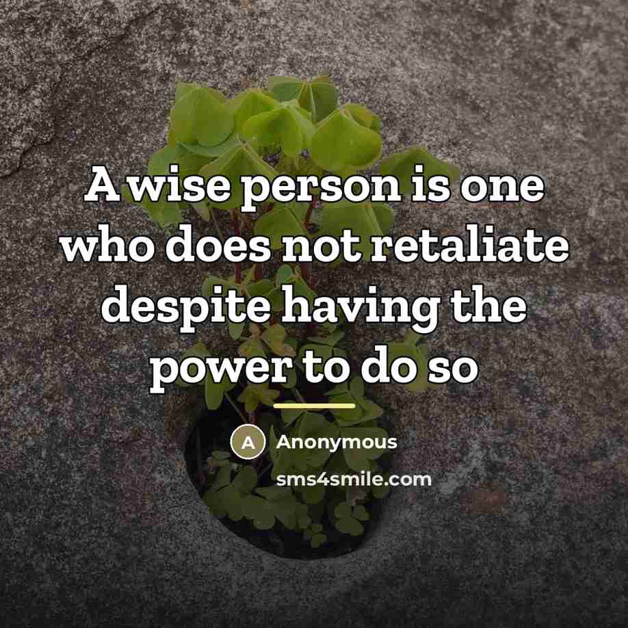 “A wise person is one who does not retaliate despite…” quote by Anonymous