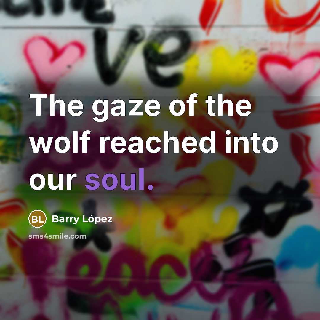 “The gaze of the wolf reached into our soul.…” quote by Barry Lopez
