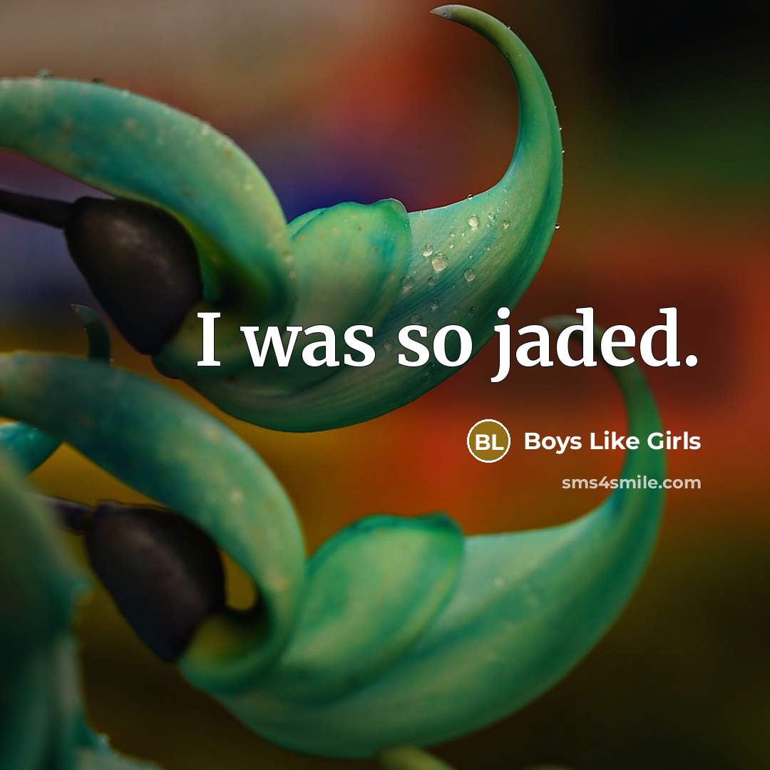 “I was so jaded.…” quote by Boys Like Girls