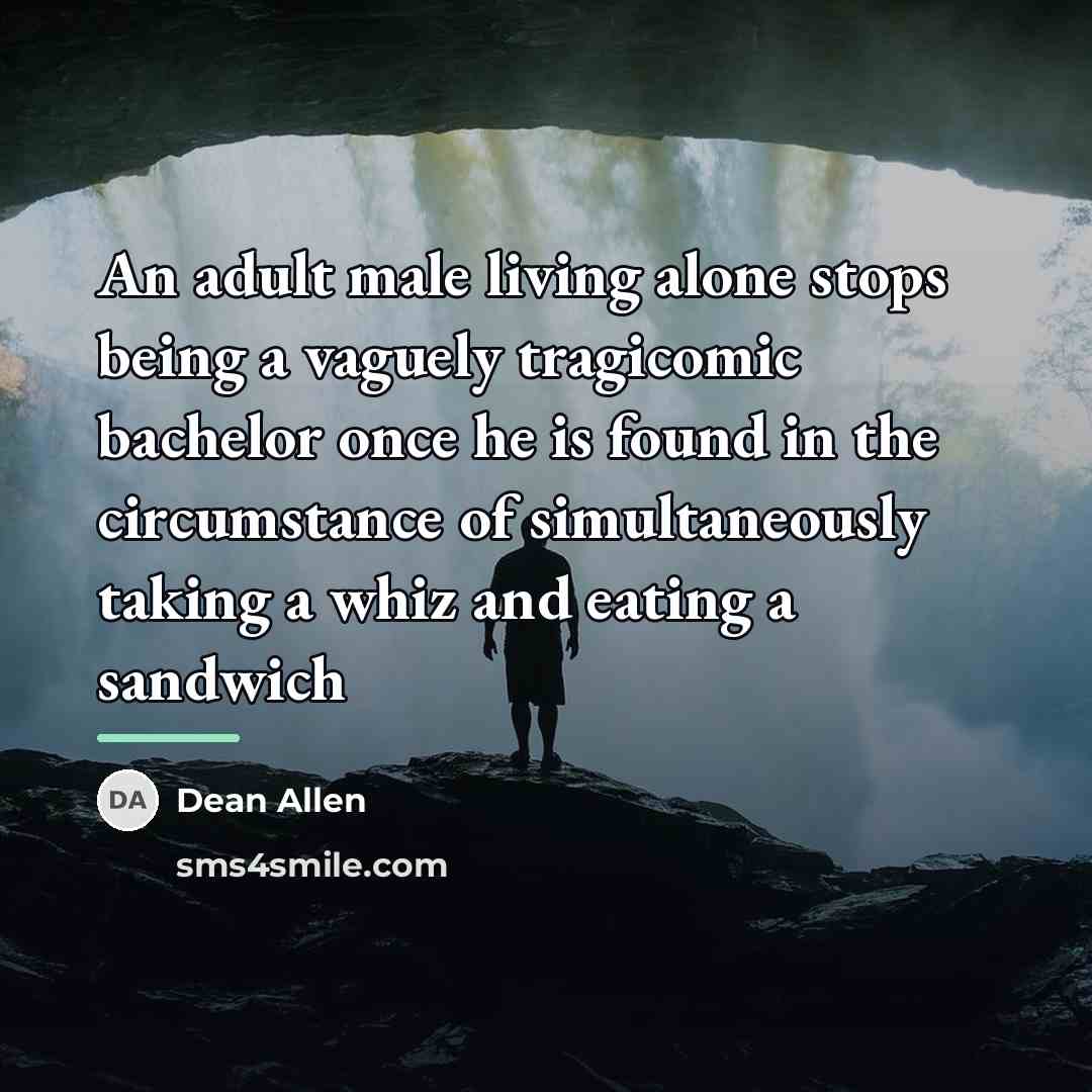 “An adult male living alone stops being a vaguely tragicomic…” quote by Dean Allen