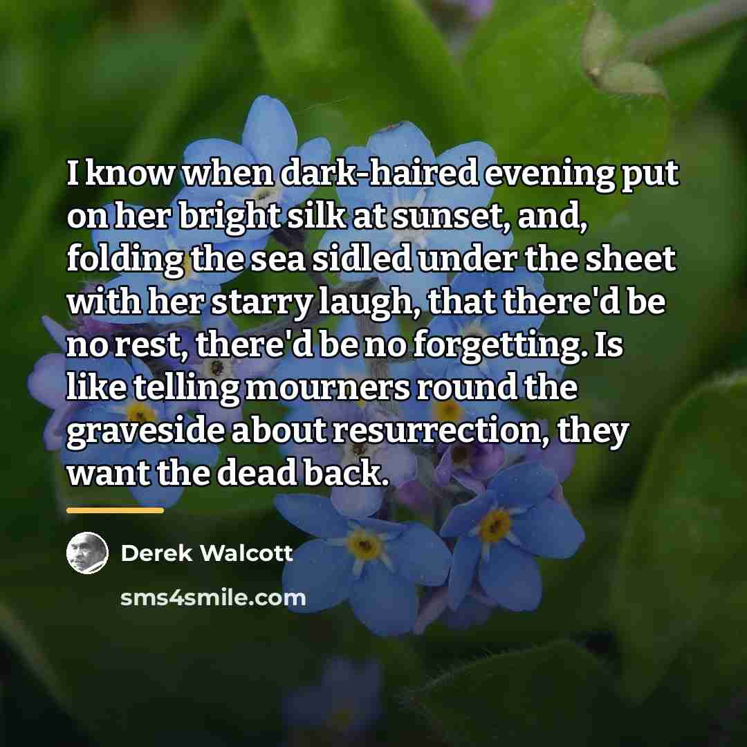 “I know when dark-haired evening put on her bright silk…” quote by Derek Walcott