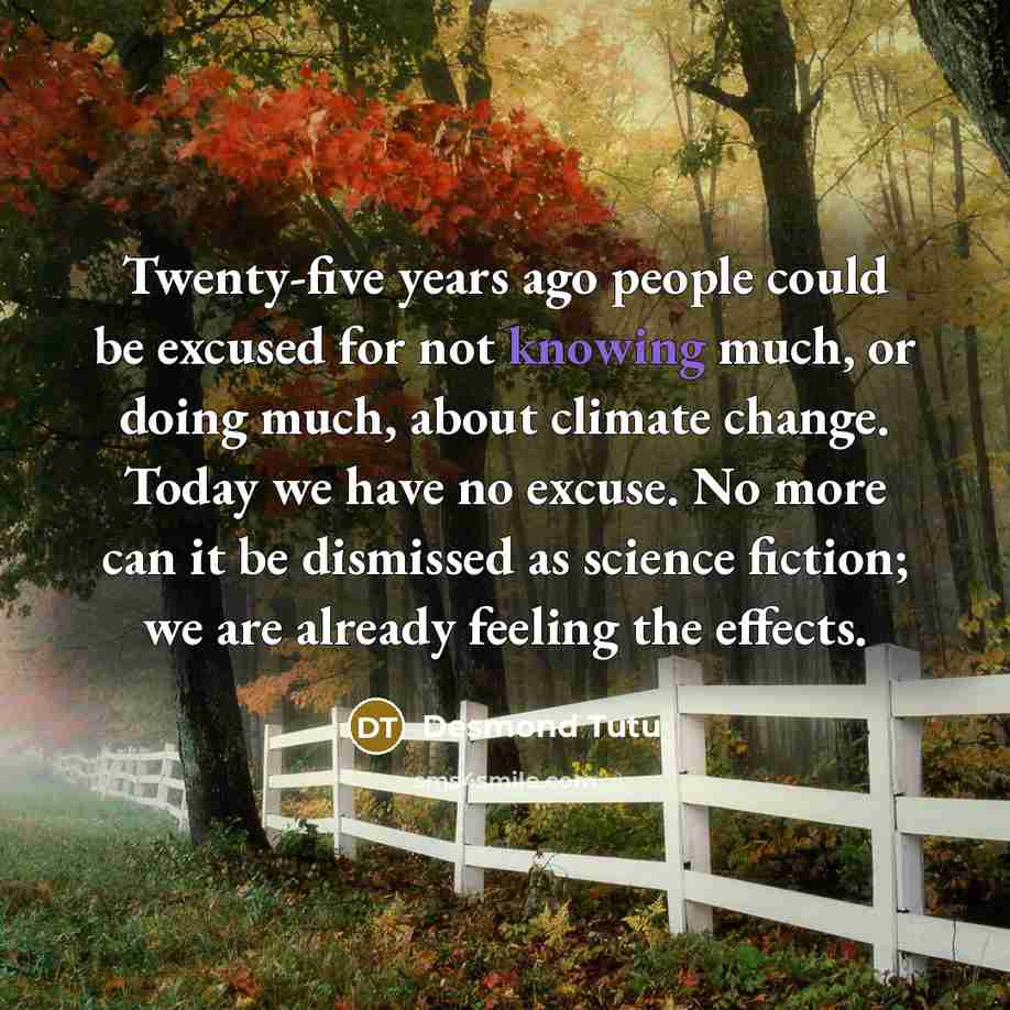 “Twenty-five years ago people could be excused for not knowing…” quote by Desmond Tutu