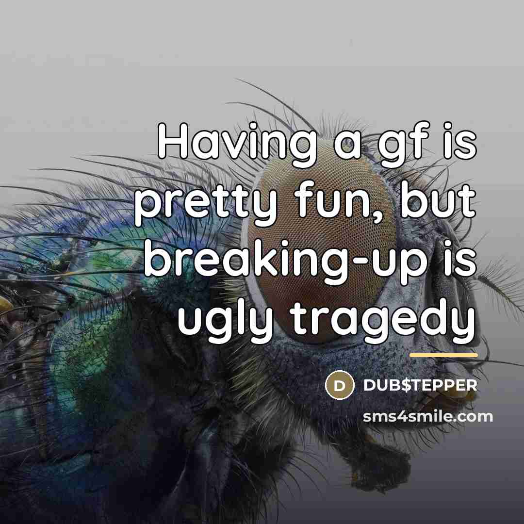 “Having a gf is pretty fun, but breaking-up is ugly…” quote by DUB$TEPPER