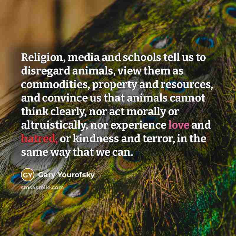 “Religion, media and schools tell us to disregard animals, view…” quote by Gary Yourofsky