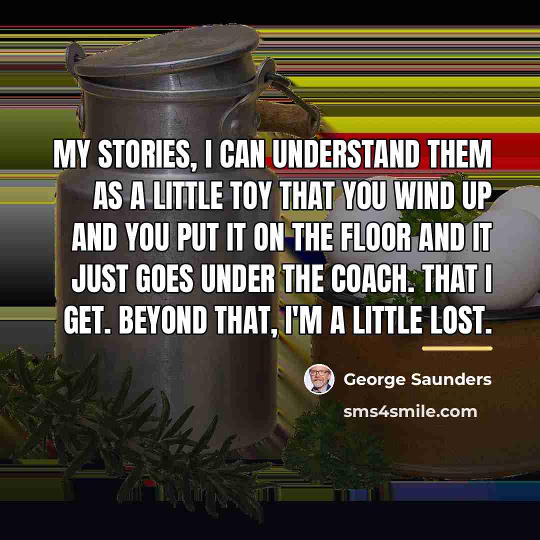 “My stories, I can understand them as a little toy…” quote by George Saunders