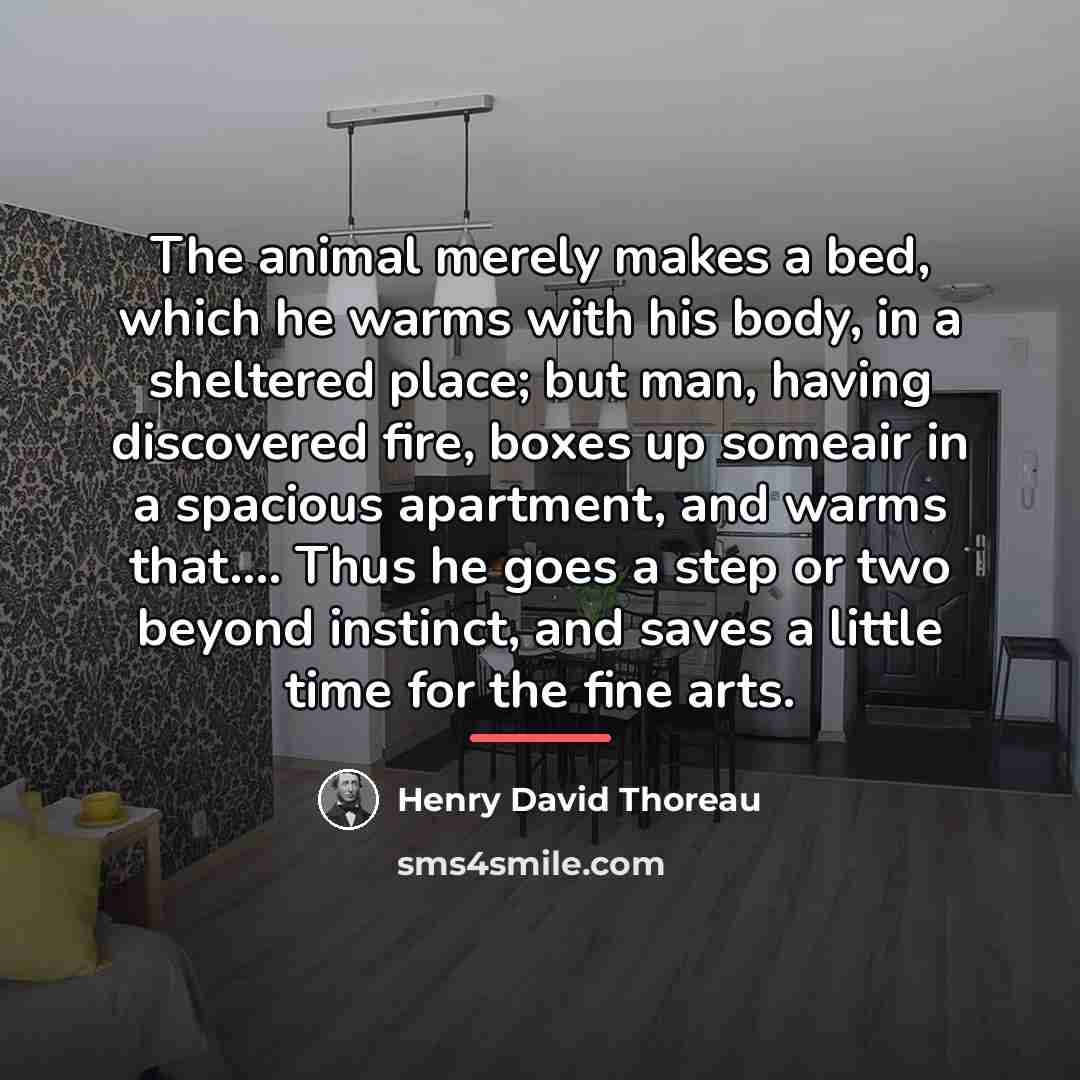 “The animal merely makes a bed, which he warms with…” quote by Henry David Thoreau