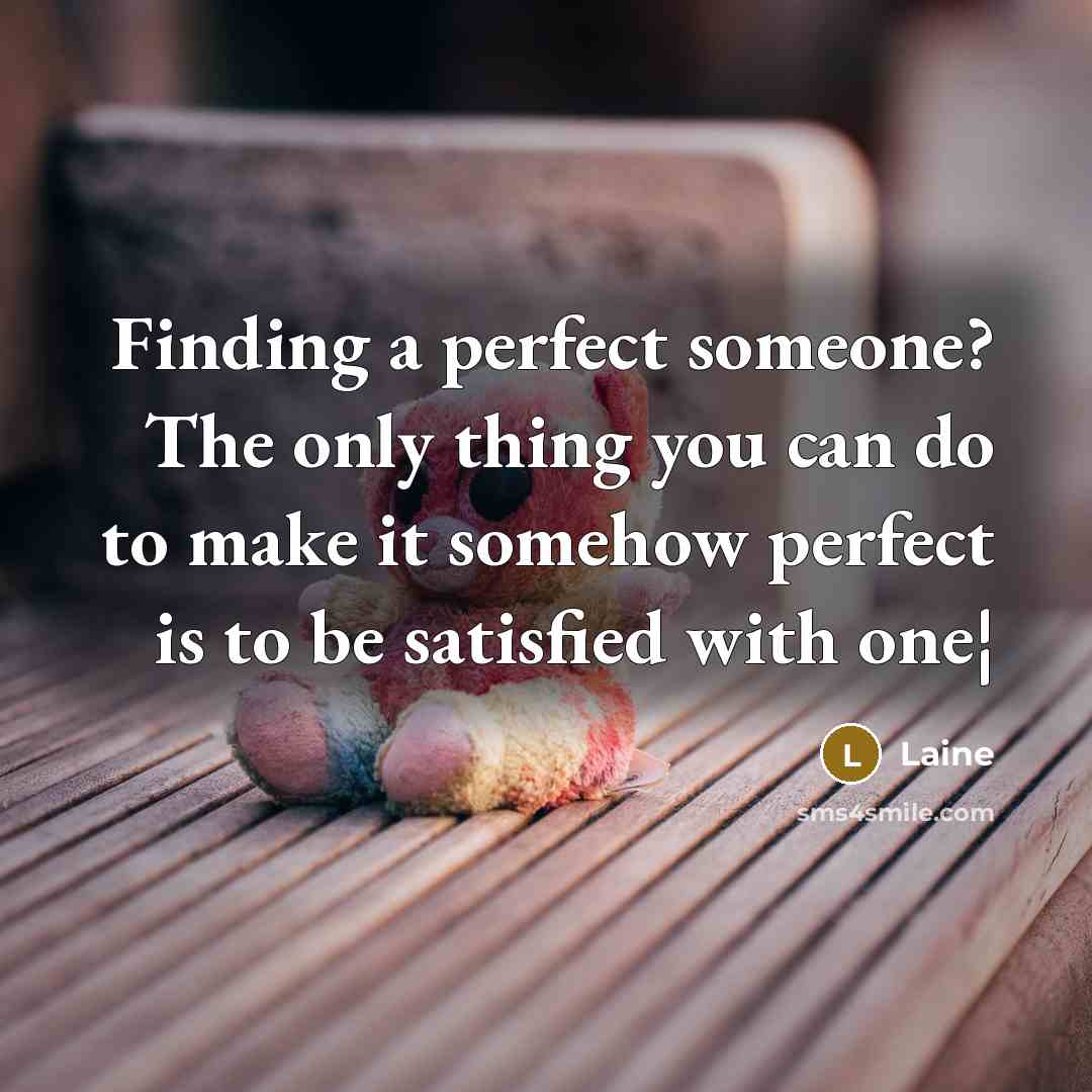 “Finding a perfect someone? The only thing you can do…” quote by Laine