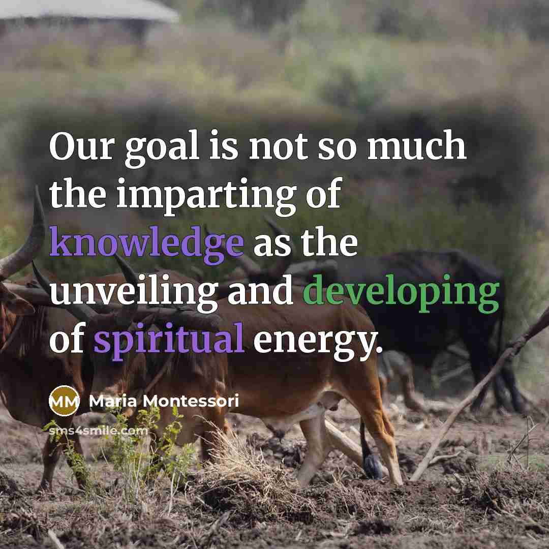 “Our goal is not so much the imparting of knowledge…” quote by Maria Montessori