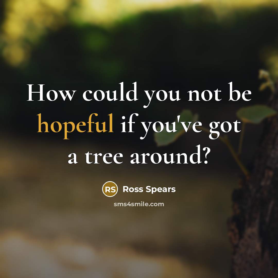 “How could you not be hopeful if you've got a tree around?” quote by Ross Spears