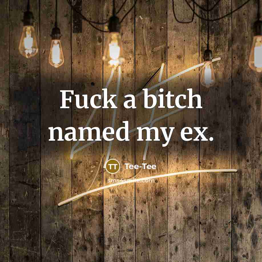 “Fuck a bitch named my ex.…” quote by Tee-Tee
