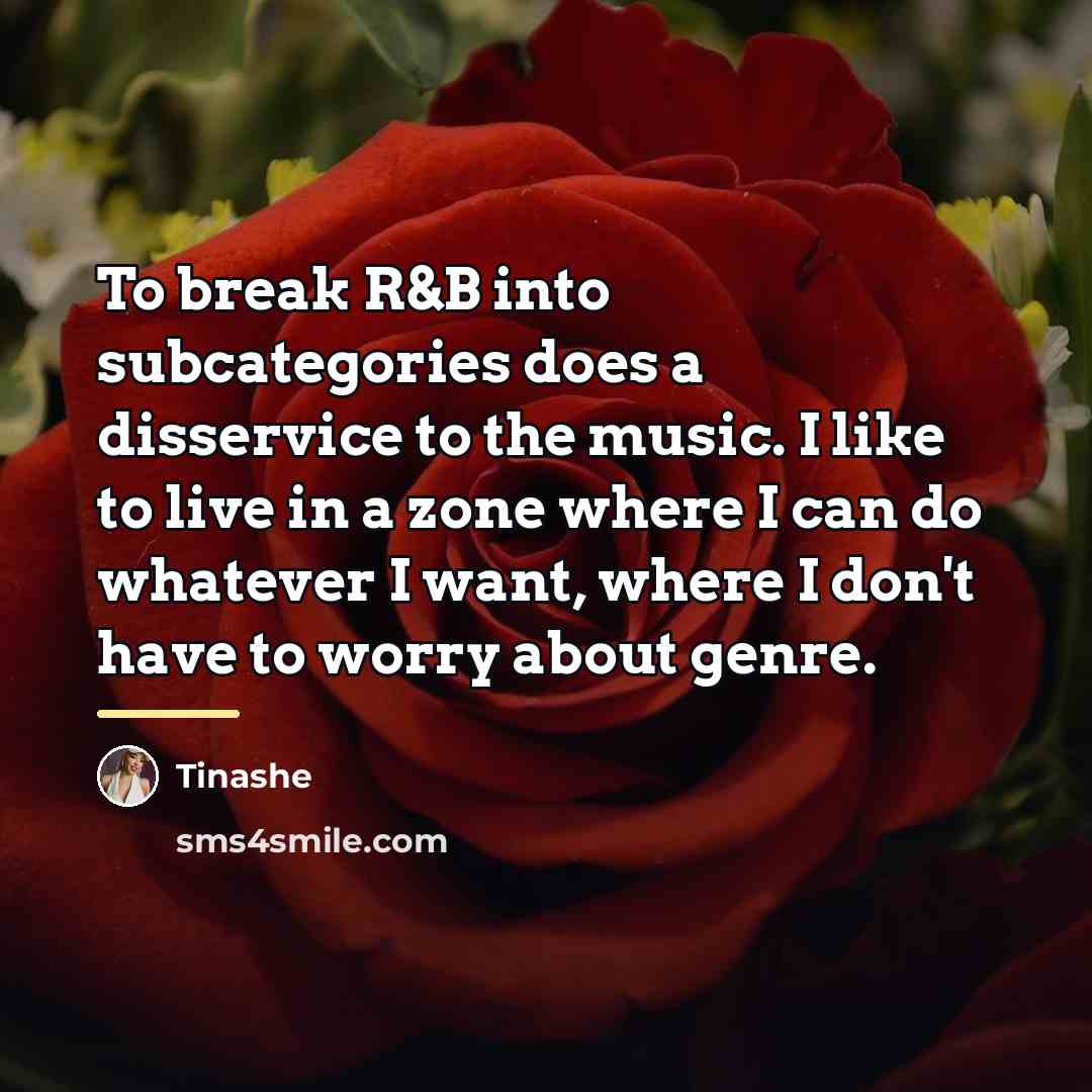 “To break R&B into subcategories does a disservice to the…” quote by Tinashe