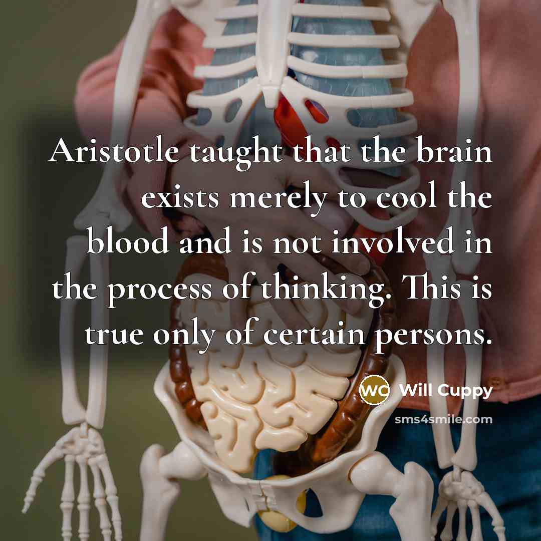 “Aristotle taught that the brain exists merely to cool the…” quote by Will Cuppy