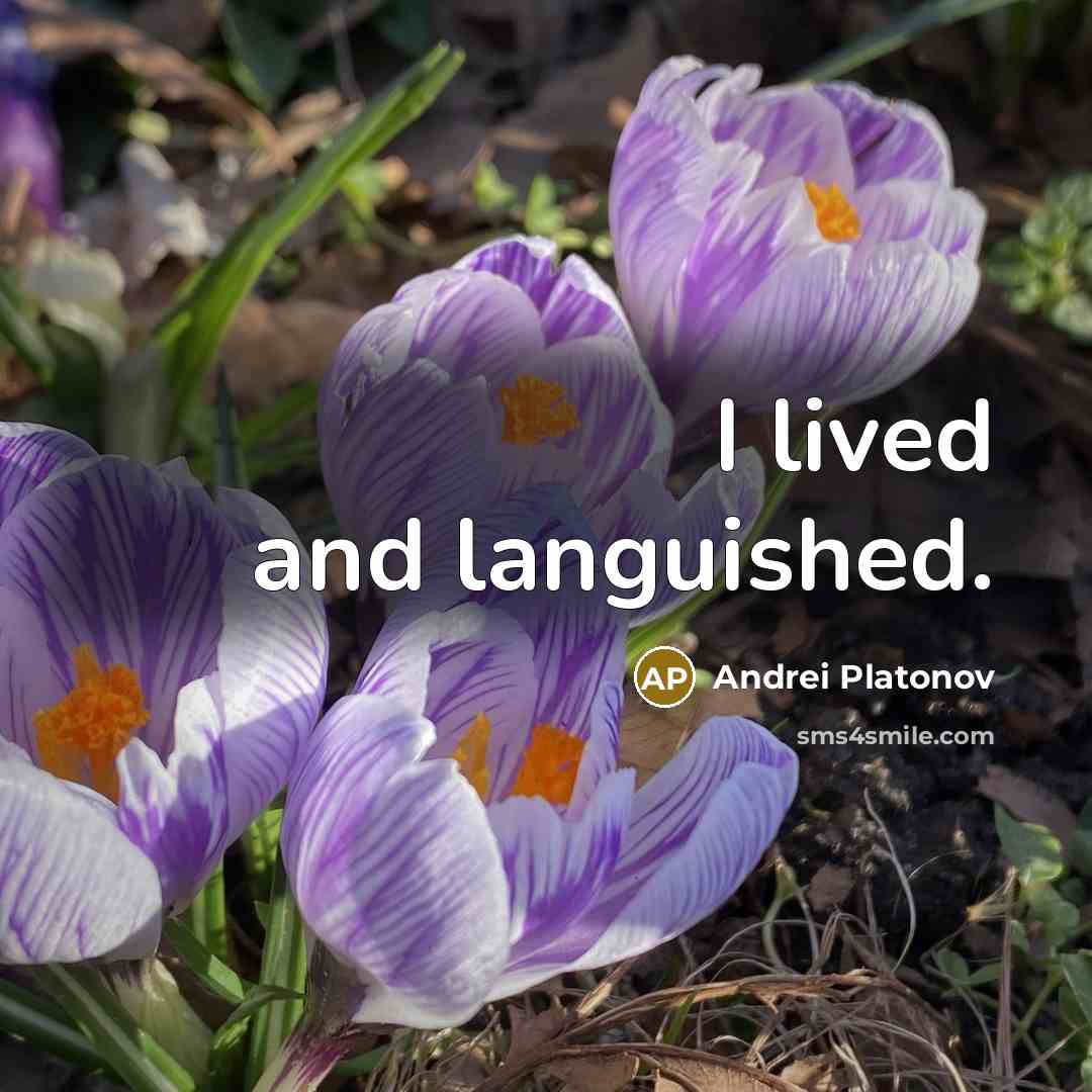 “I lived and languished.…” quote by Andrei Platonov