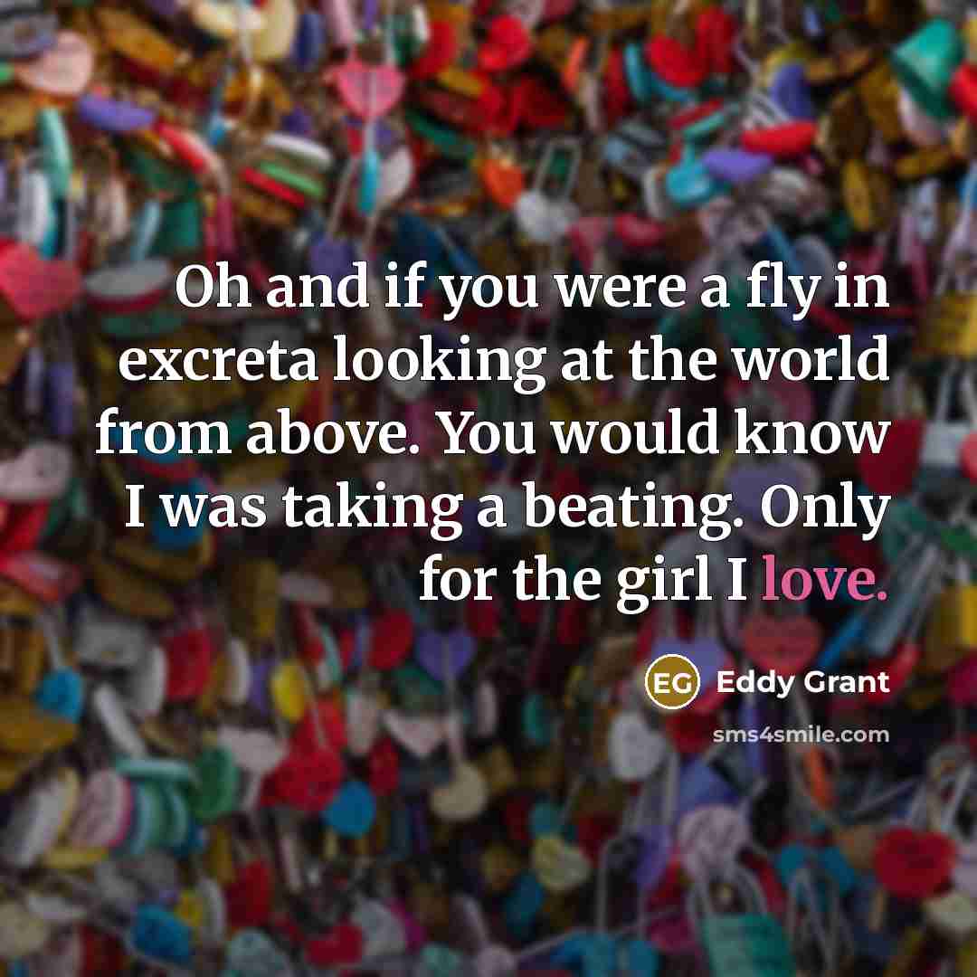 “Oh and if you were a fly in excreta looking…” quote by Eddy Grant