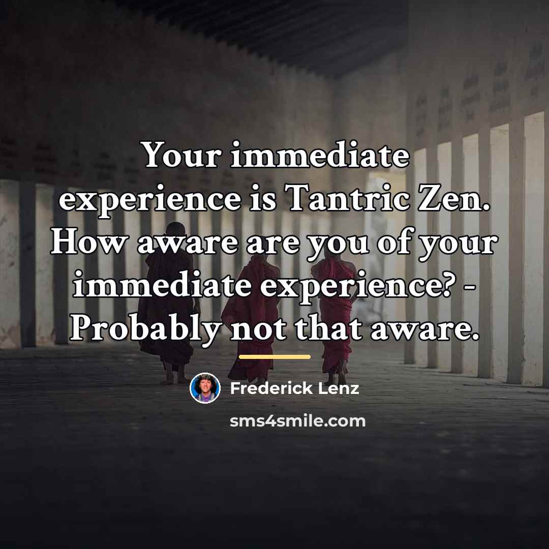 “Your immediate experience is Tantric Zen. How aware are you…” quote by Frederick Lenz