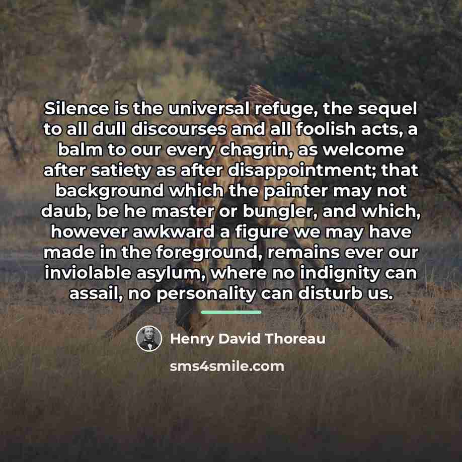 “Silence is the universal refuge, the sequel to all dull…” quote by Henry David Thoreau