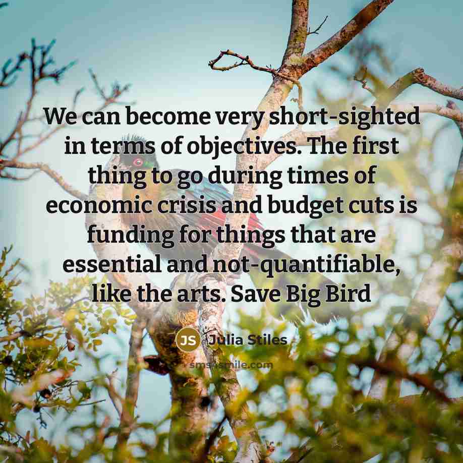 “We can become very short-sighted in terms of objectives. The…” quote by Julia Stiles