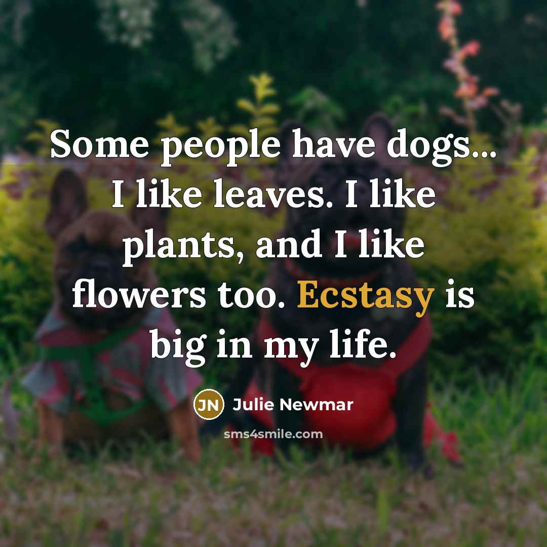 “Some people have dogs... I like leaves. I like plants,…” quote by Julie Newmar
