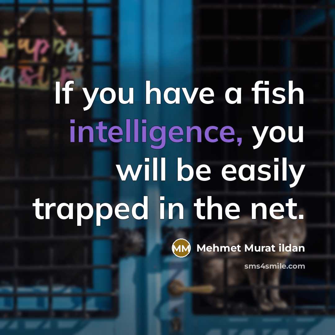 “If you have a fish intelligence, you will be easily trapped in the net.” quote by Mehmet Murat Ildan