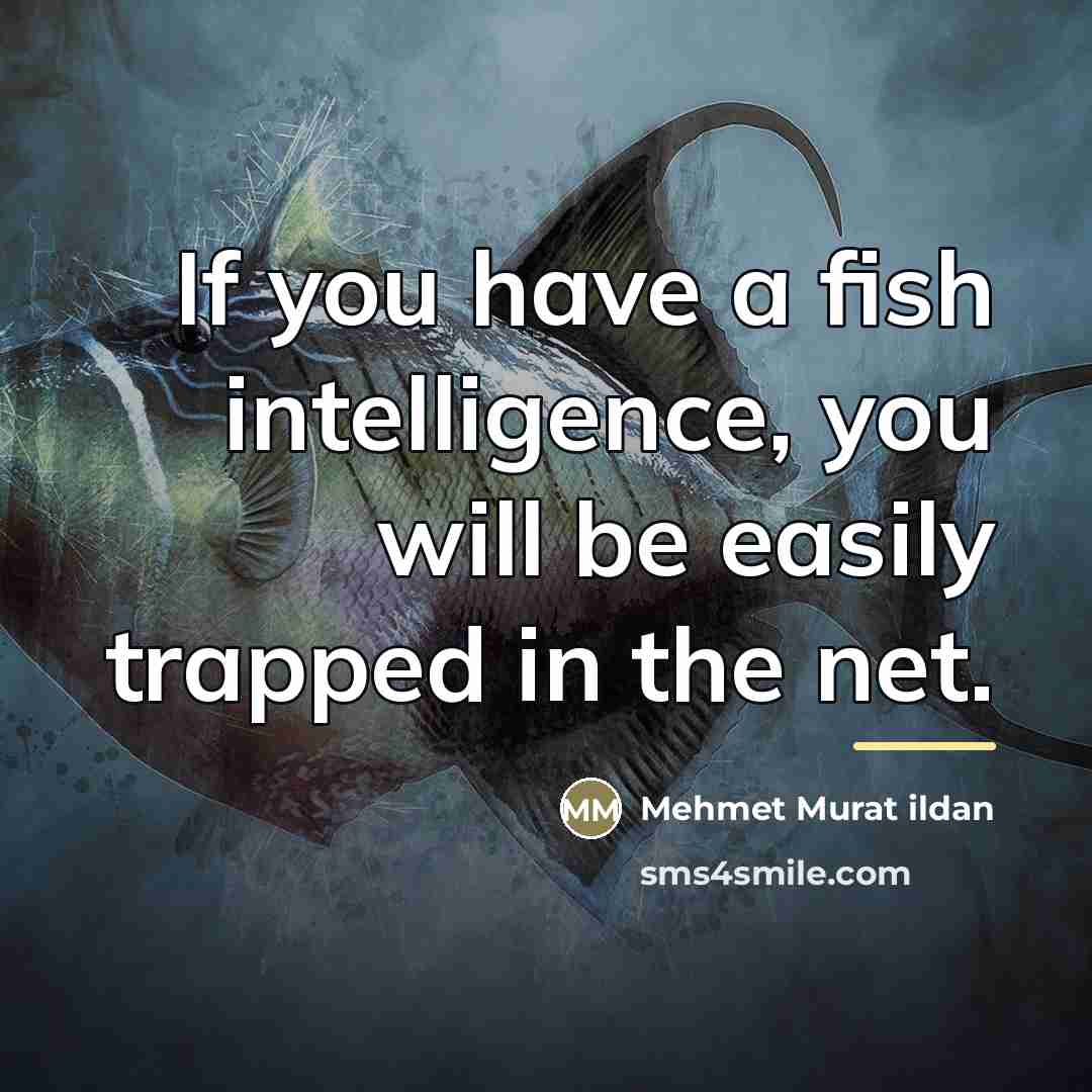 “If you have a fish intelligence, you will be easily…” quote by Mehmet Murat Ildan