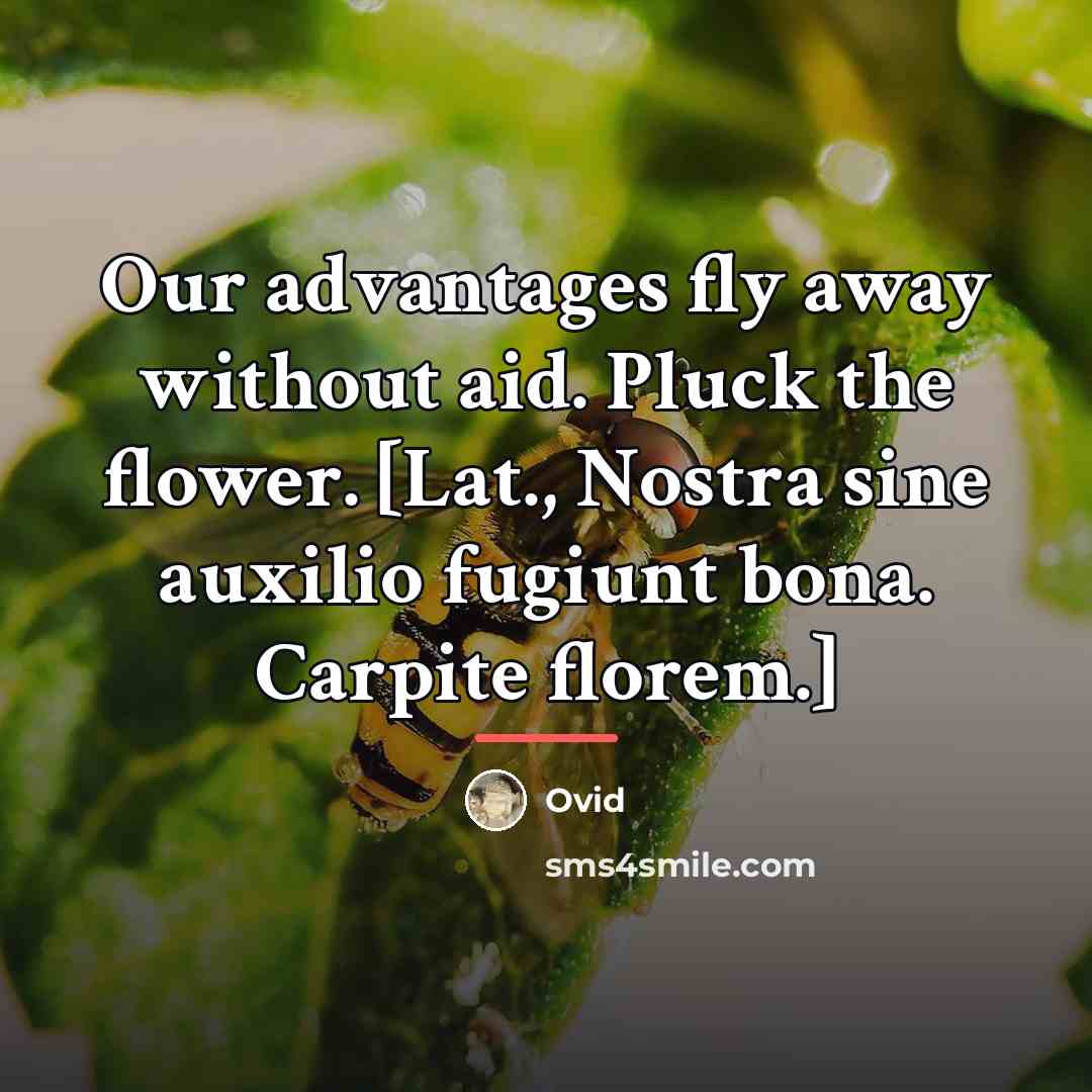 “Our advantages fly away without aid. Pluck the flower. [Lat.,…” quote by Ovid