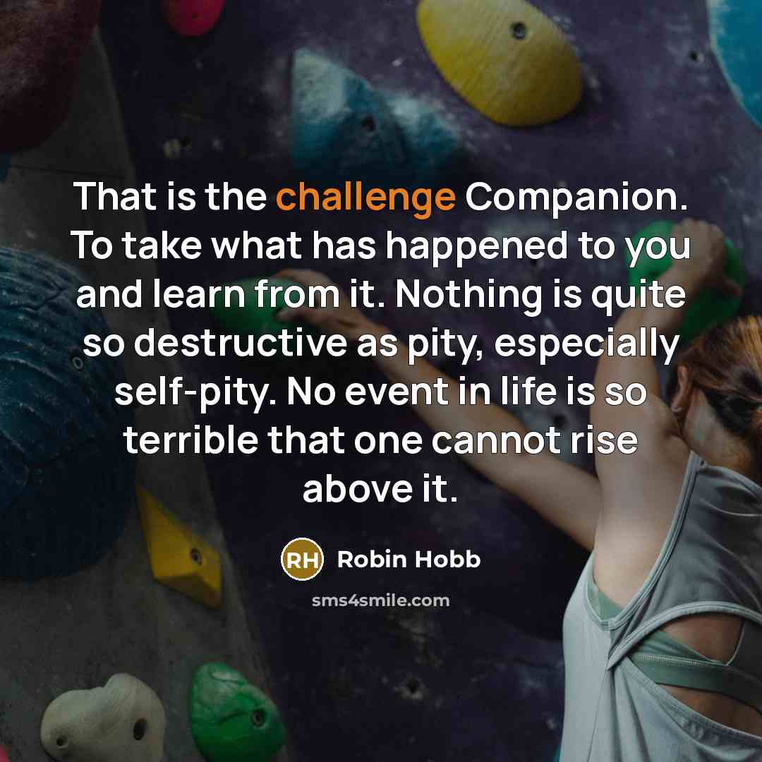 “That is the challenge Companion. To take what has happened…” quote by Robin Hobb