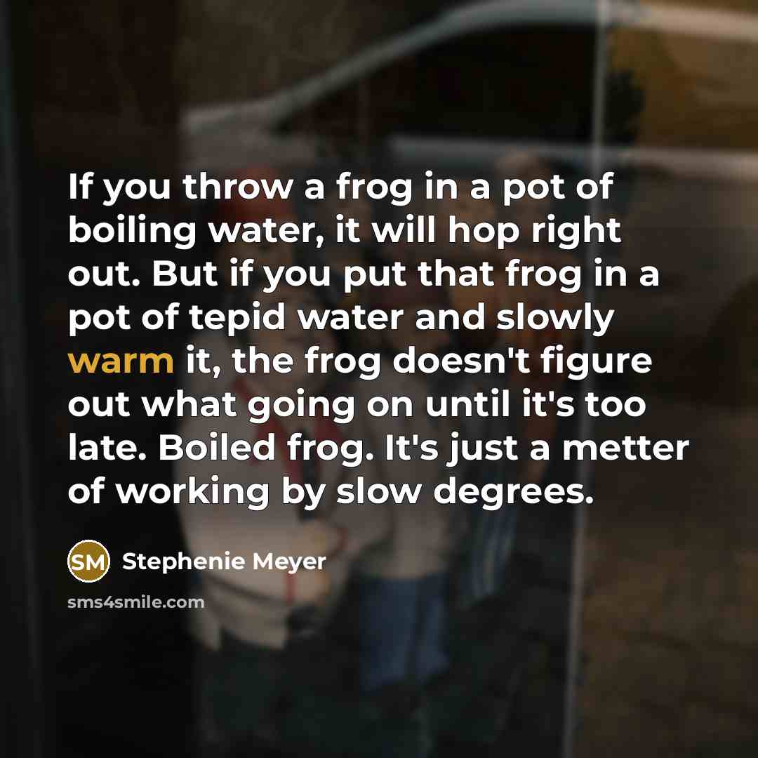 “If you throw a frog in a pot of boiling…” quote by Stephenie Meyer