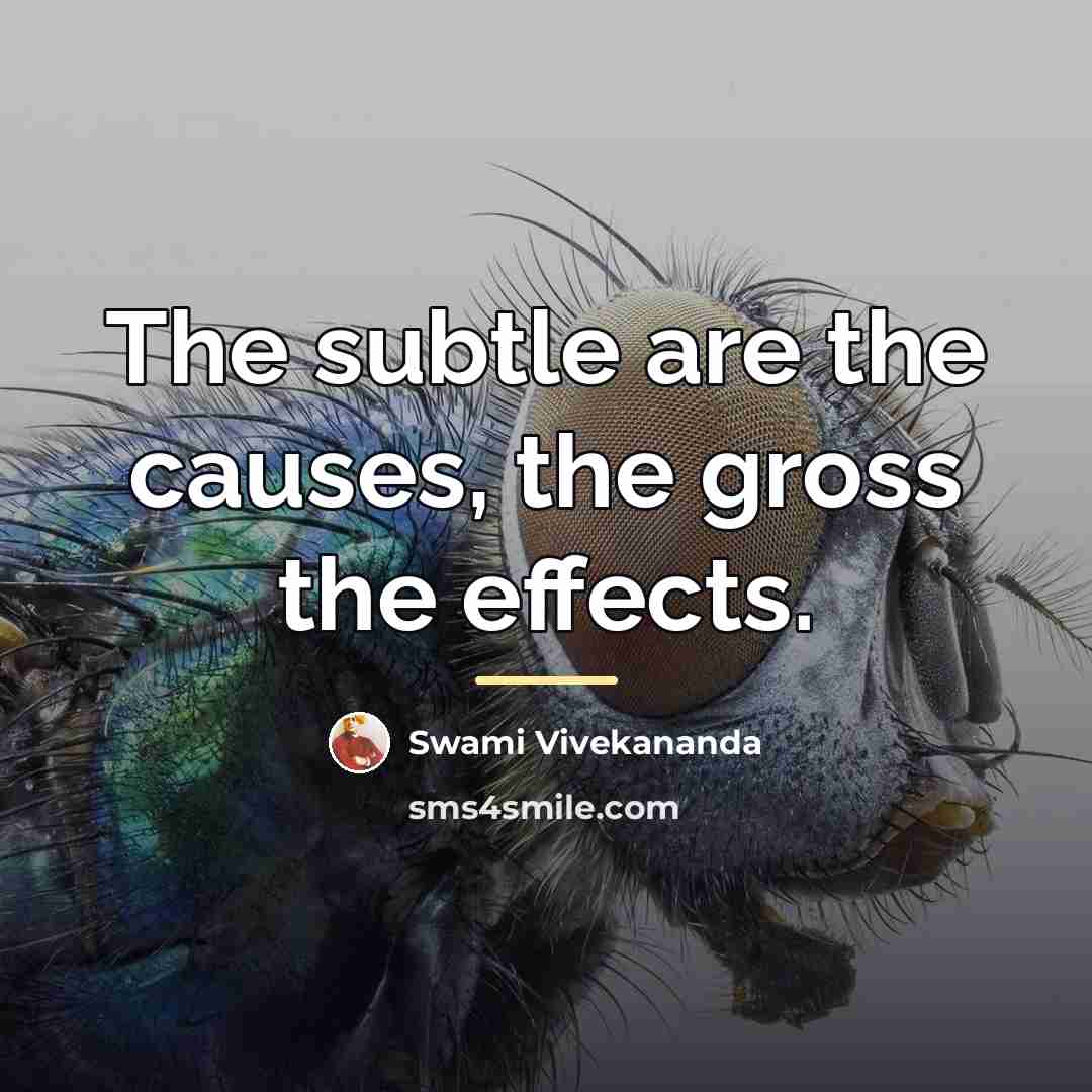 “The subtle are the causes, the gross the effects.…” quote by Swami Vivekananda