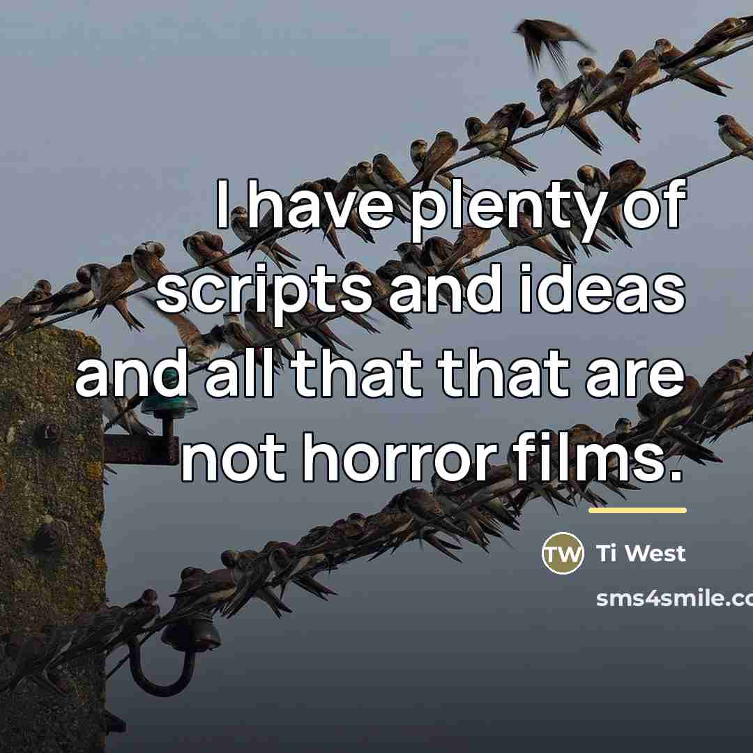 “I have plenty of scripts and ideas and all that…” quote by Ti West