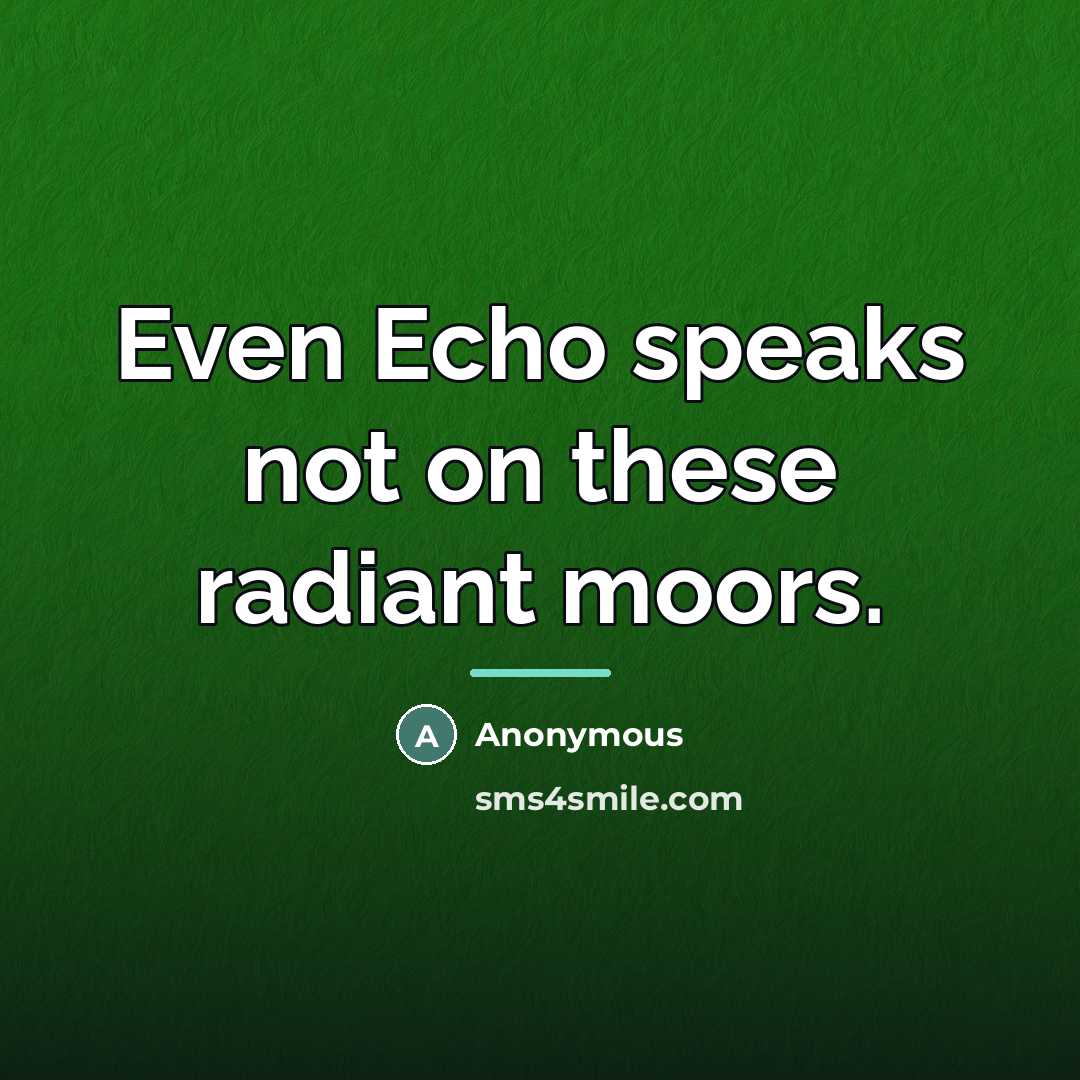 “Even Echo speaks not on these radiant moors.…” quote by Anonymous