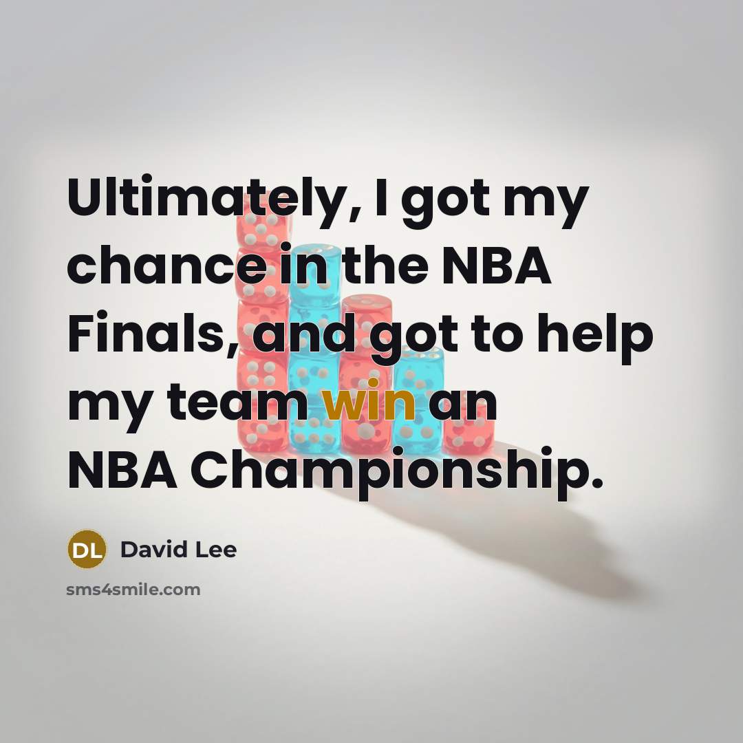 “Ultimately, I got my chance in the NBA Finals, and…” quote by David Lee