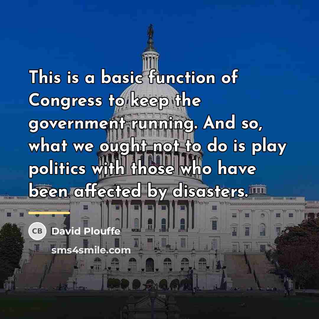 “This is a basic function of Congress to keep the…” quote by David Plouffe