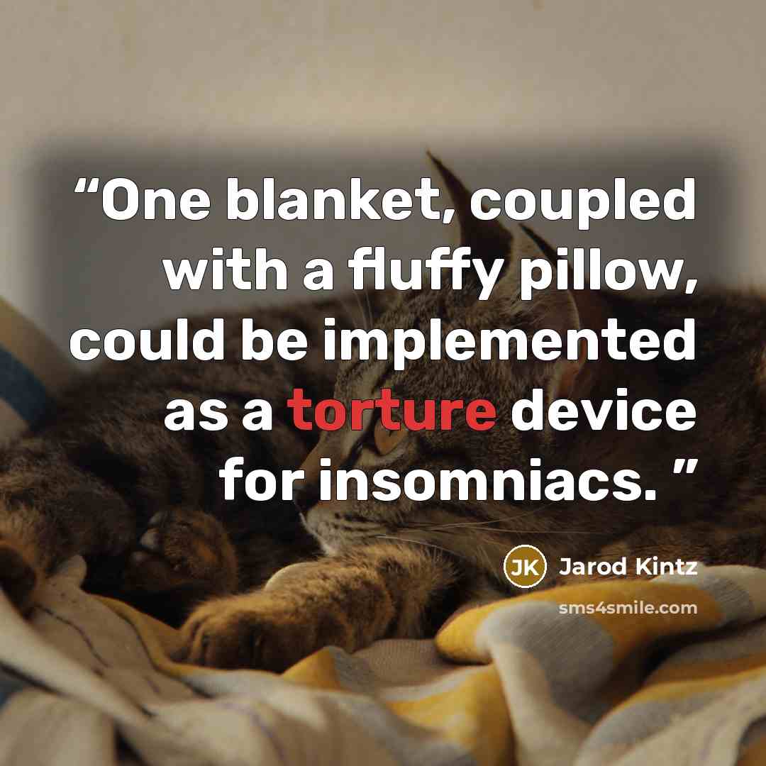 “One blanket, coupled with a fluffy pillow, could be implemented as a torture device for insomniacs.” quote by Jarod Kintz