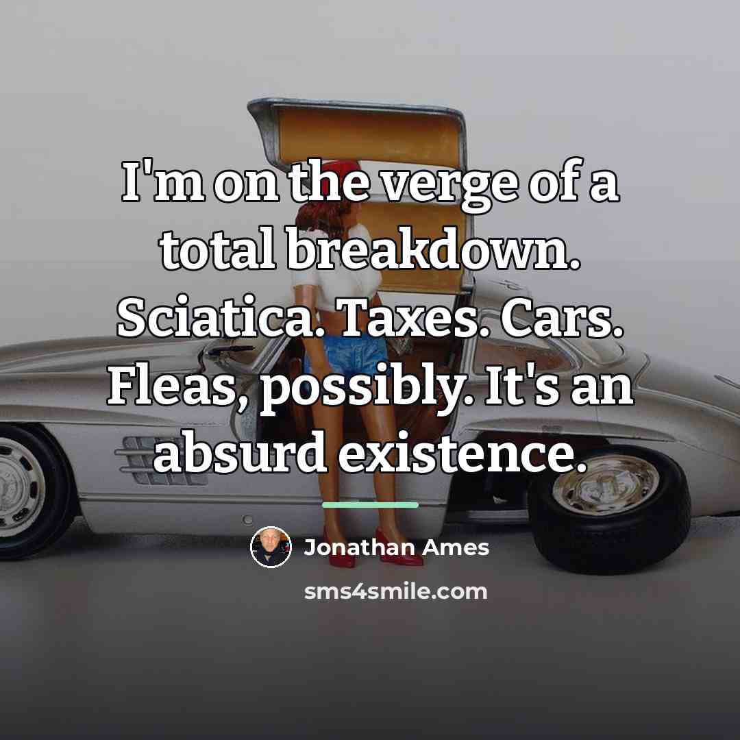 “I'm on the verge of a total breakdown. Sciatica. Taxes.…” quote by Jonathan Ames