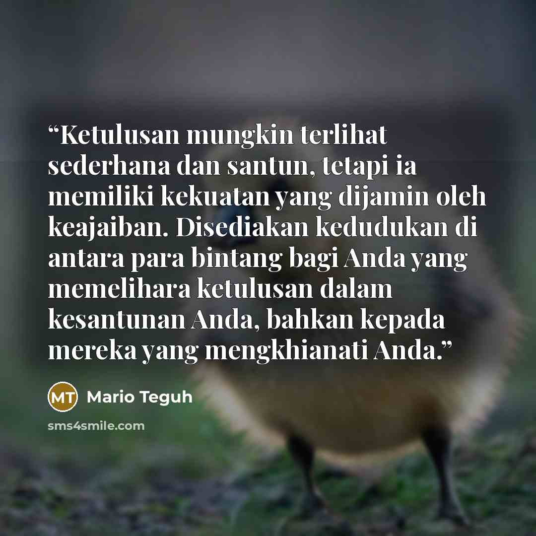“Ketulusan mungkin terlihat sederhana dan santun, tetapi ia memiliki kekuatan yang dijamin oleh keajaiban. Disediakan kedudukan di antara para bintang bagi Anda yang memelihara ketulusan dalam kesantunan Anda, bahkan kepada mereka yang mengkhianati Anda.” quote by Mario Teguh