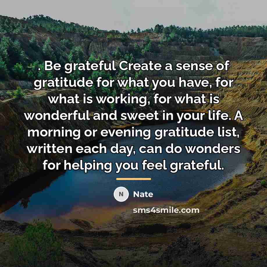 “. Be grateful Create a sense of gratitude for what…” quote by Nate
