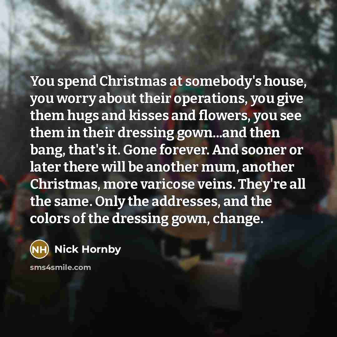 “You spend Christmas at somebody's house, you worry about their…” quote by Nick Hornby