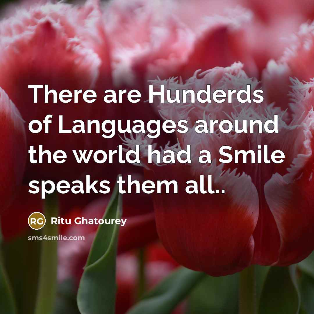 “There are Hunderds of Languages around the world had a…” quote by Ritu Ghatourey