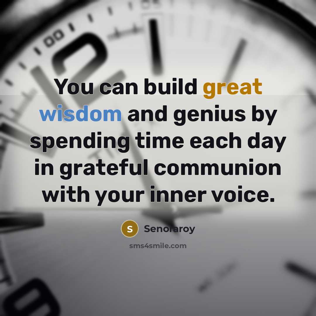“You can build great wisdom and genius by spending time…” quote by Senoraroy