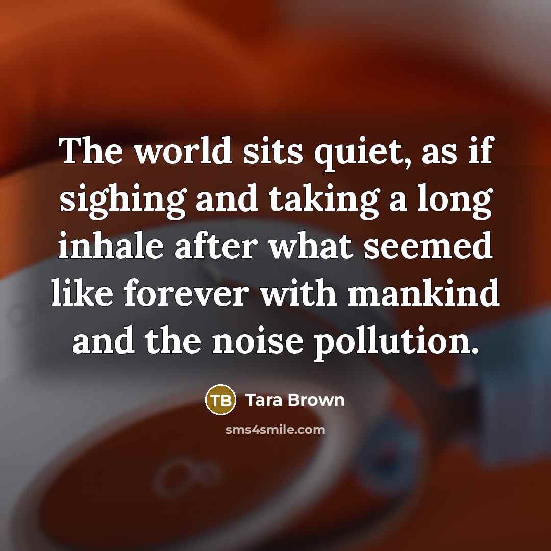 “The world sits quiet, as if sighing and taking a…” quote by Tara Brown