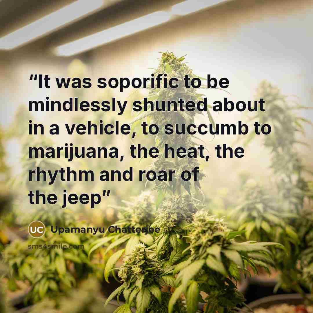 “It was soporific to be mindlessly shunted about in a vehicle, to succumb to marijuana, the heat, the rhythm and roar of the jeep” quote by Upamanyu Chatterjee