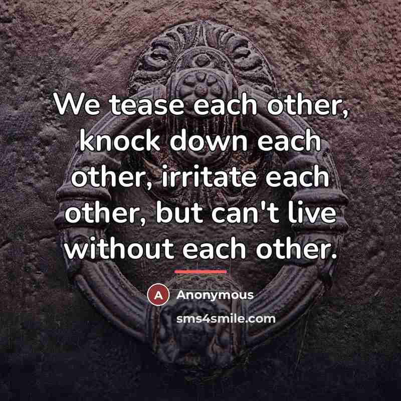 “We tease each other, knock down each other, irritate each…” quote by Anonymous