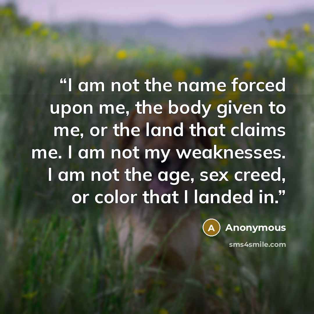 “I am not the name forced upon me, the body given to me, or the land that claims me. I am not my weaknesses. I am not the age, sex creed, or color that I landed in.” quote by Anonymous