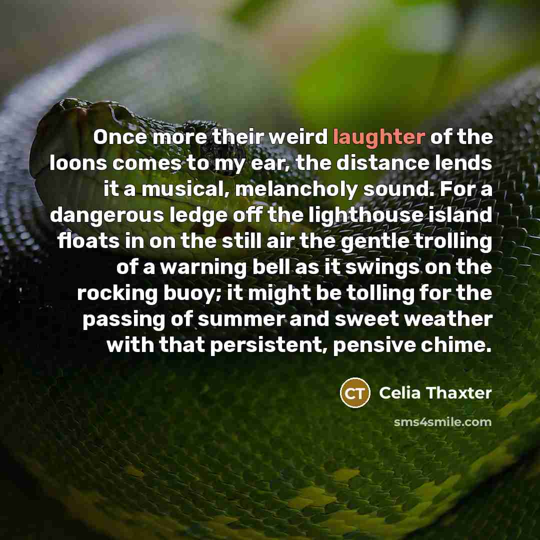 “Once more their weird laughter of the loons comes to…” quote by Celia Thaxter