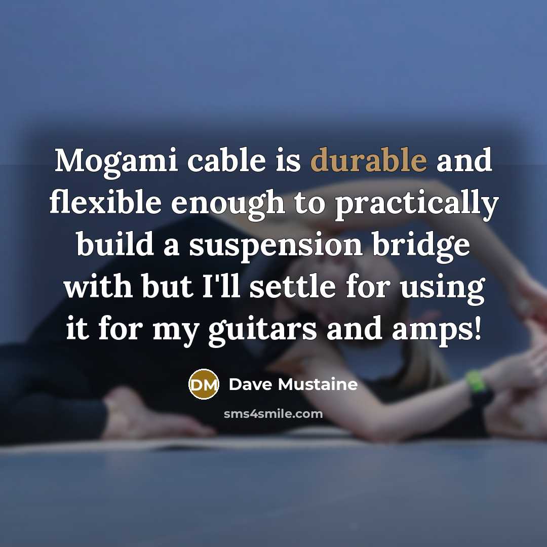 “Mogami cable is durable and flexible enough to practically build…” quote by Dave Mustaine
